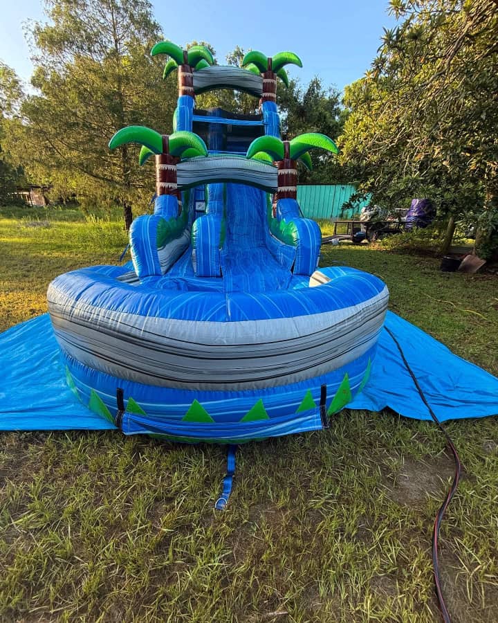 20 Foot Blue Crush Palm Slide with Pool