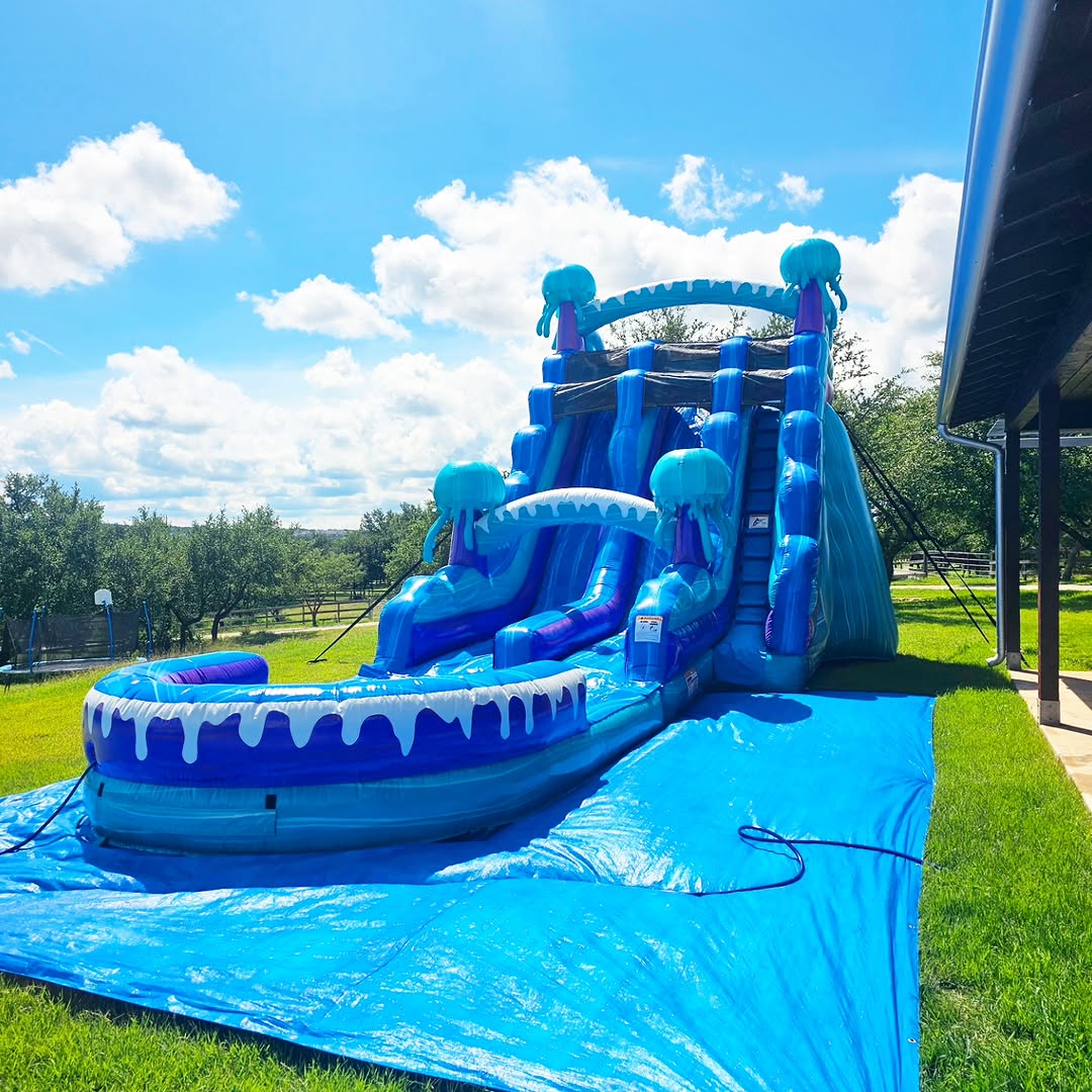 24 Foot Jellyfish Double Lane Water Slide