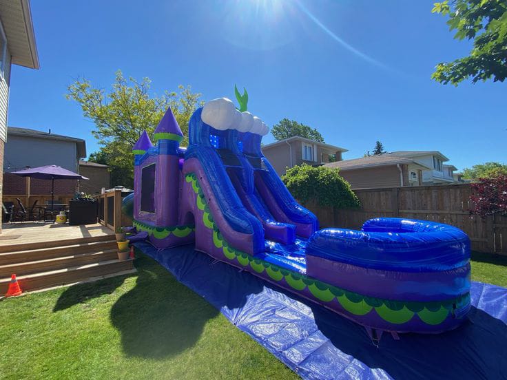 Purple Castle Wet/Dry Combo Slide